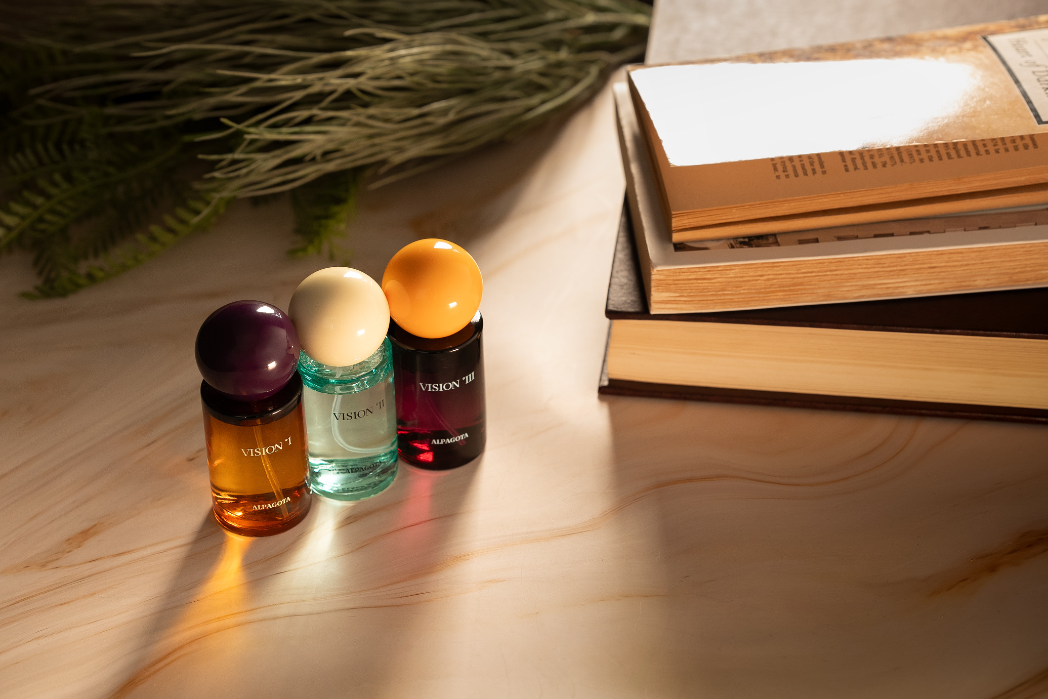 ALPAGOTA取扱開始 - 鎌倉の眼鏡屋 Neu ノイ